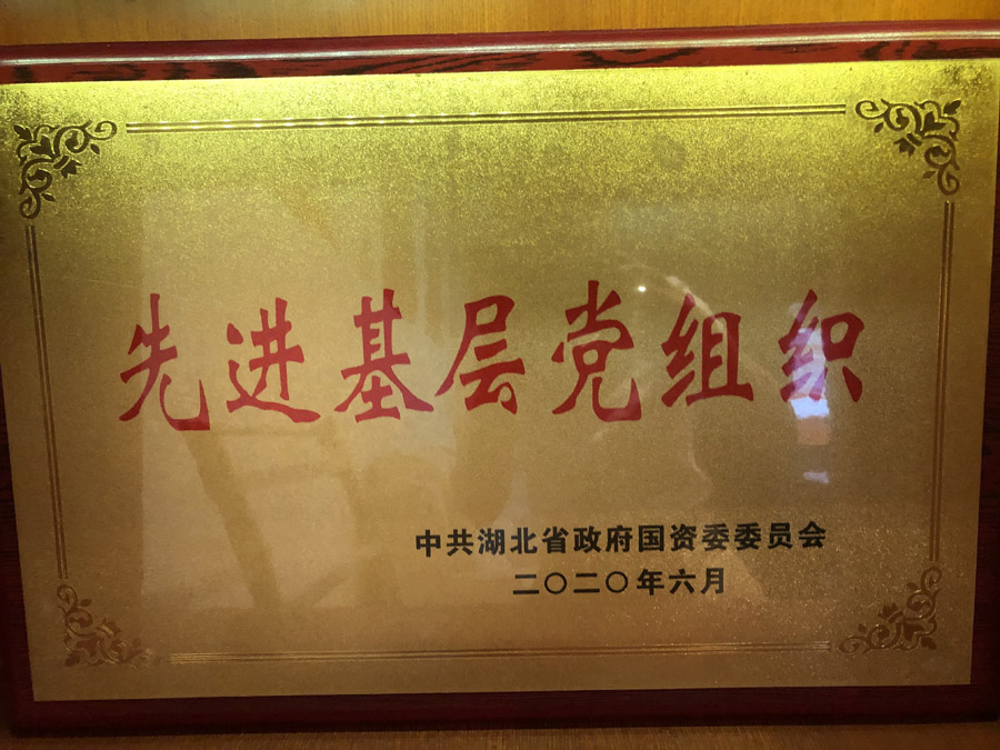 2020年6月，被省國(guó)資委評(píng)為“先進(jìn)基層黨組織”